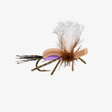 RIO's Dry Humper - Purple - Size 16