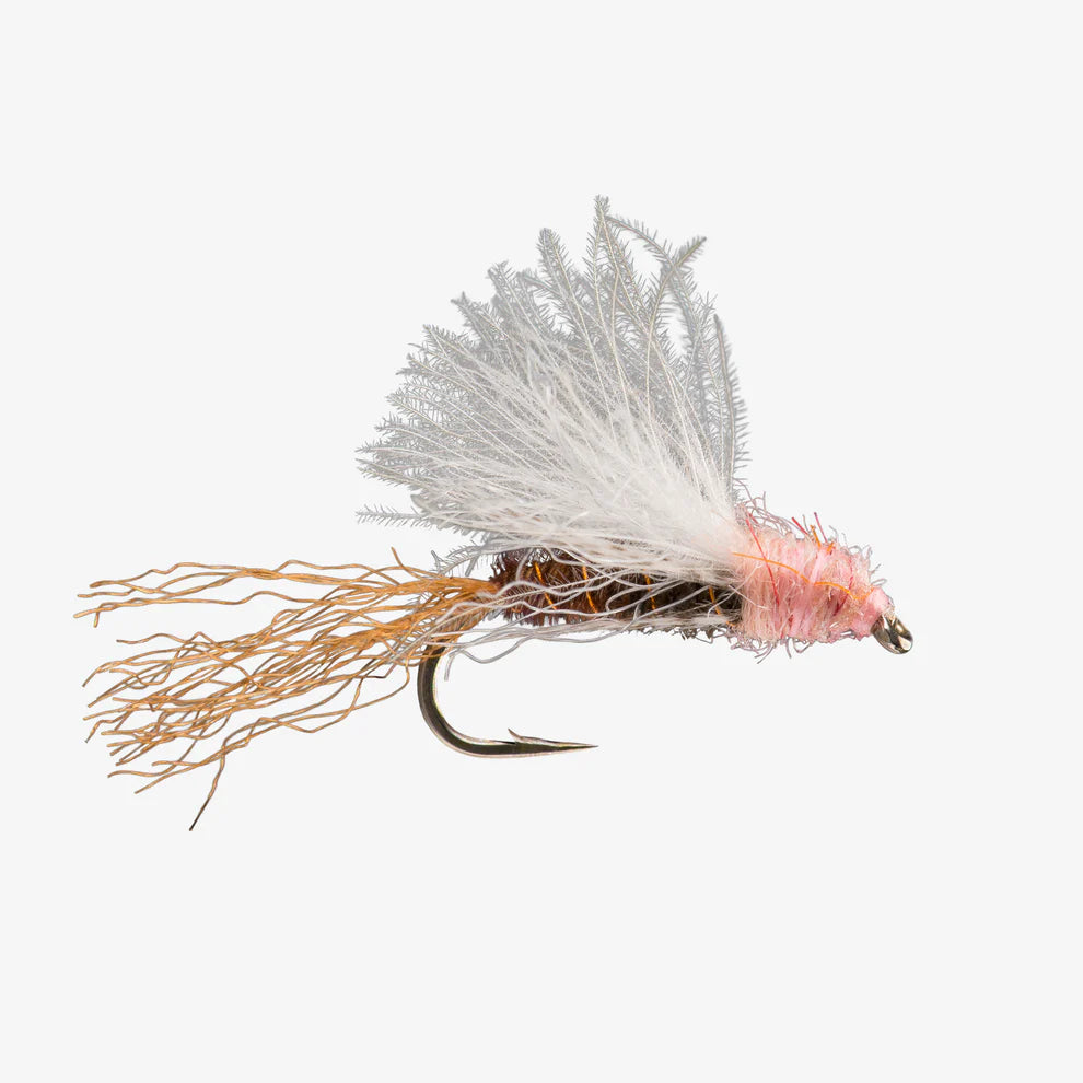 CDC Emerger