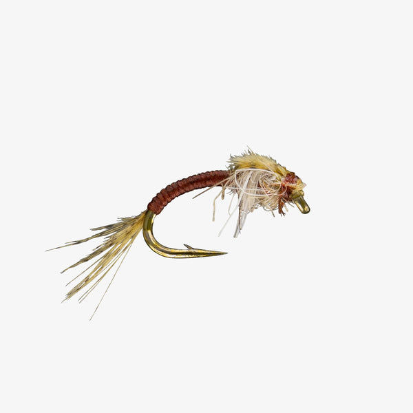 WD 40 - Chocolate - Size 18