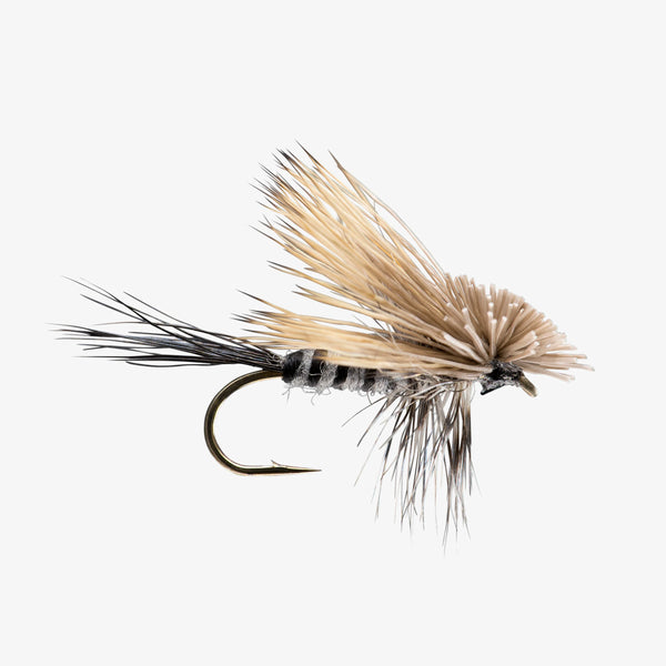 RIO's Hairwing Drake - Gray