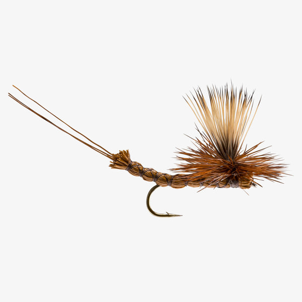 Paradrake - Brown Drake - Size 10