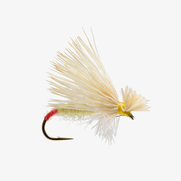 Yellow Sally Hairwing