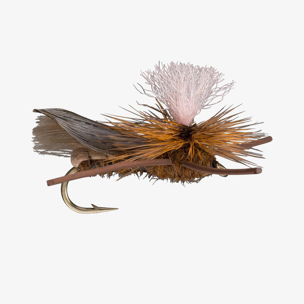 RIO Parachute Cricket.