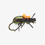 Rio's Ground Beetle - Size 10