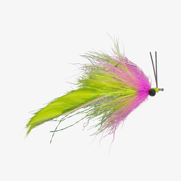 Boyles Swamp Fox - Electric Chicken - Size 1