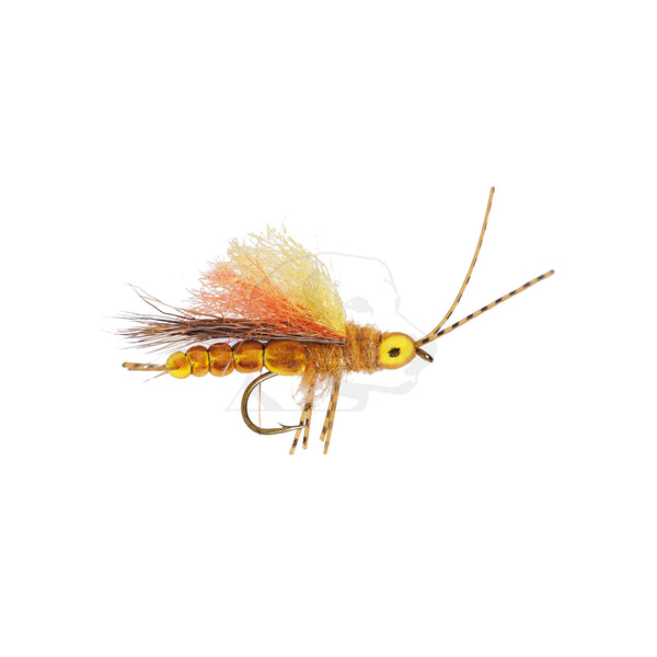 Side view of Flush Floater Stone fly, golden size 8, showing low-riding foam body, splayed wing and oversized hook on white