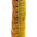 Pheasant Tail Pair