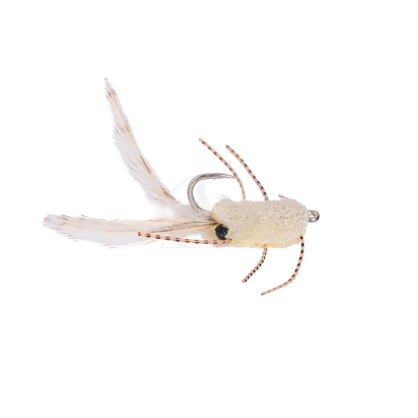 Gringo Crab