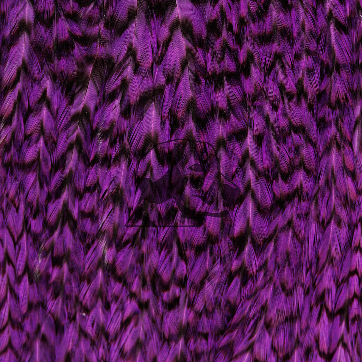 Close-up of Whiting Farms Freshwater Streamer Saddle showing grizzly dyed purple barred feathers and long hackles