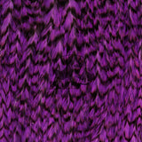 Close-up of Whiting Farms Freshwater Streamer Saddle showing grizzly dyed purple barred feathers and long hackles
