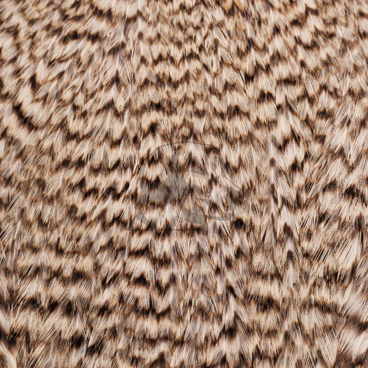 Whiting Farms Freshwater Streamer Cape