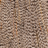 Whiting Farms Rooster Cape - Bronze Grade