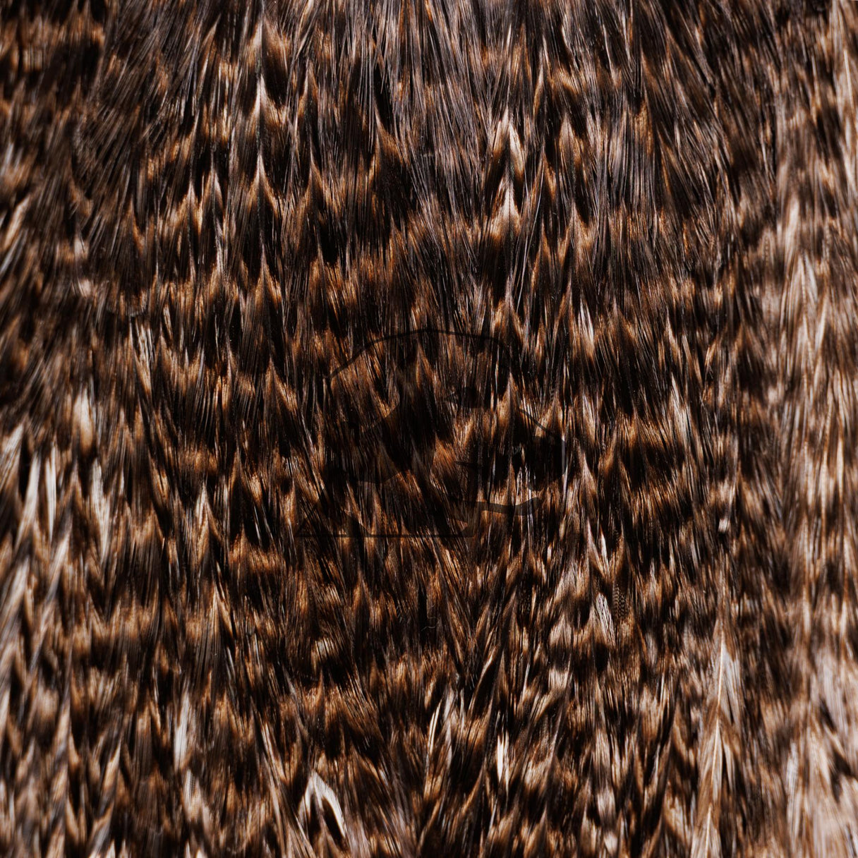 Whiting Coq de Leon Bronze Rooster Saddle