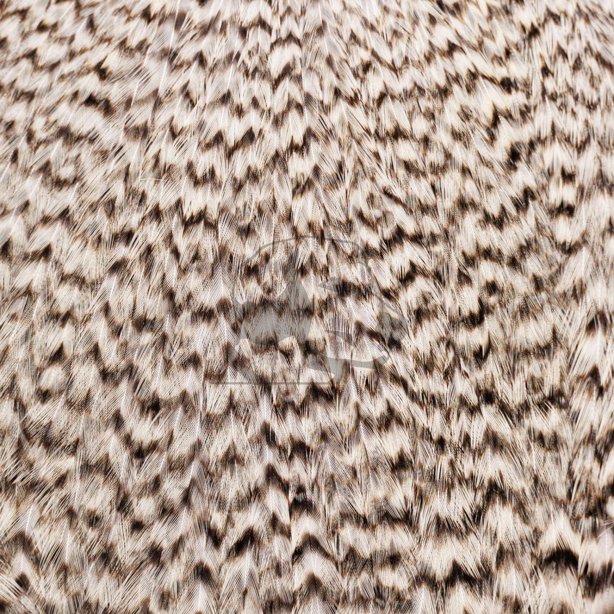Whiting Farms Freshwater Streamer Cape