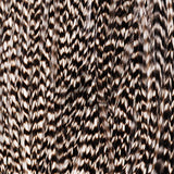 Close-up of Whiting Farms Rooster 1/2 Saddle Bronze Grade showing grizzly-barred hackle feathers with dense barbs