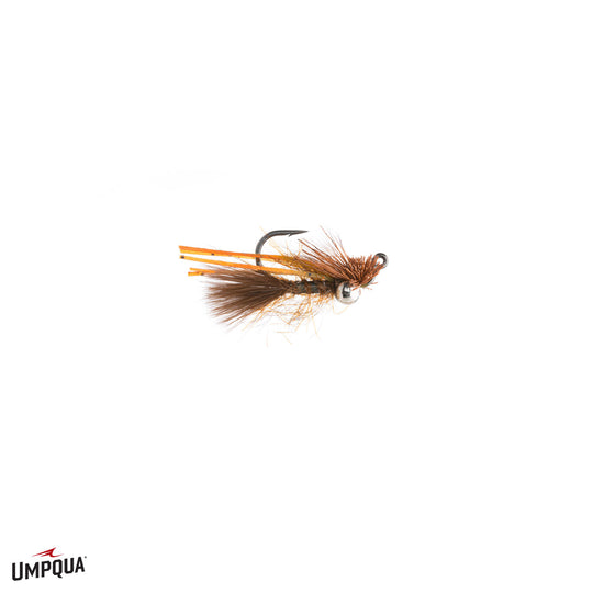 Great Carpholio - Size 4