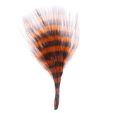 Barred Marabou