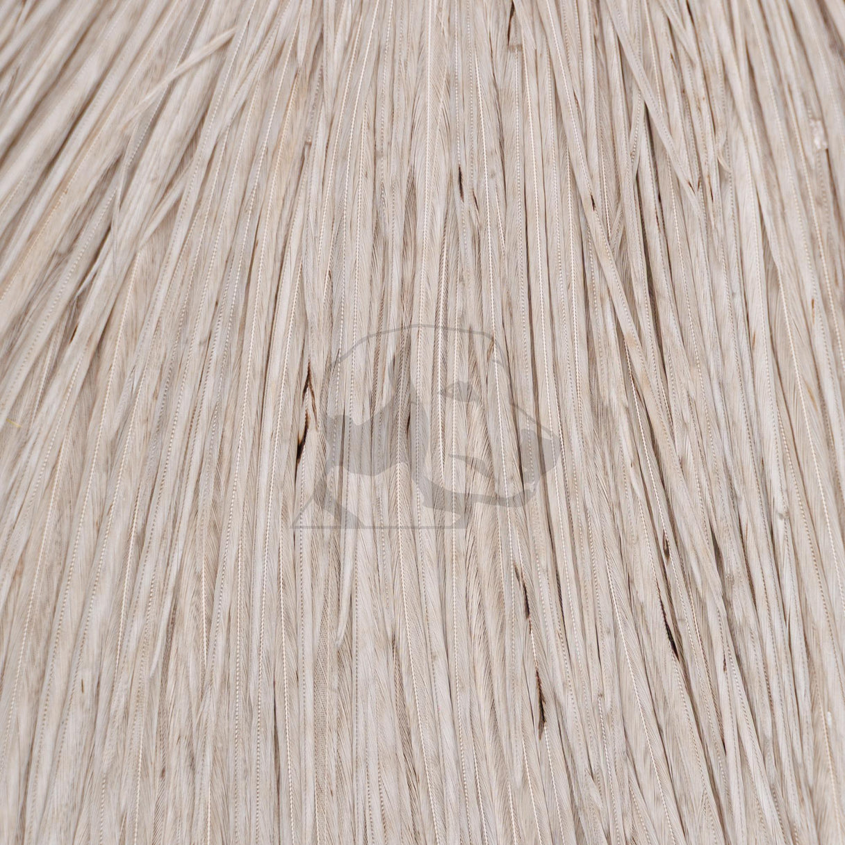 Whiting Farms Rooster Cape - Pro Grade