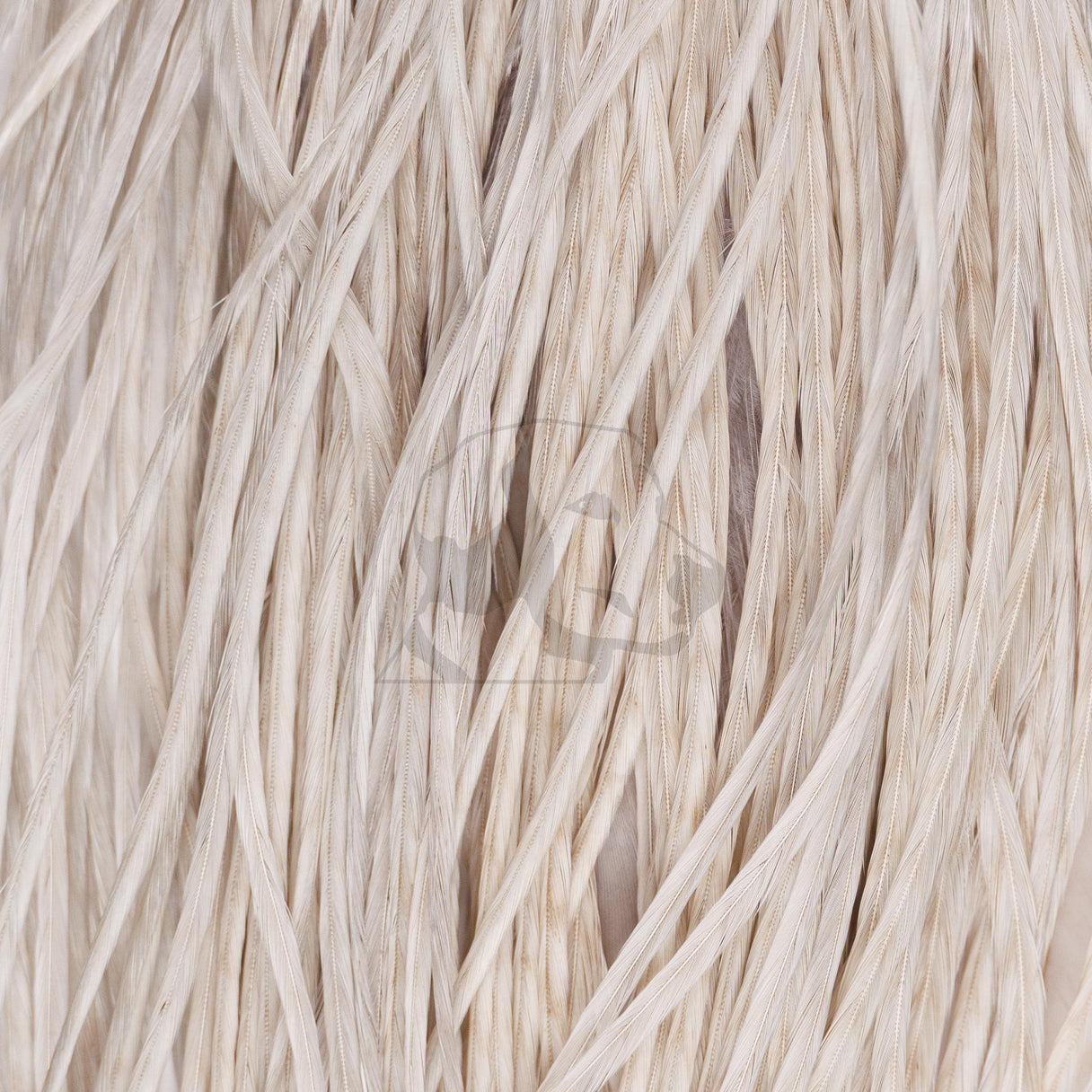 Close-up of Whiting Farms Rooster 1/2 saddle feathers in light dun showing long, supple hackle with dense barbs
