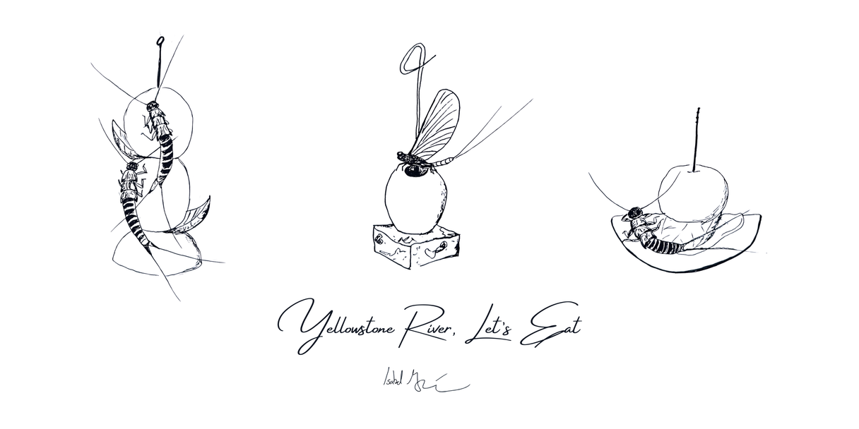 I.MOUGHAMIAN.ART I.Moughamian.Art Let Her Eat.