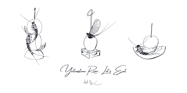 I.MOUGHAMIAN.ART I.Moughamian.Art Let Her Eat.