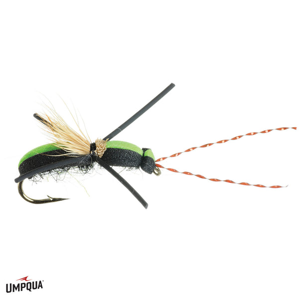 Umpqua Longhorn Beetle - Size 10.