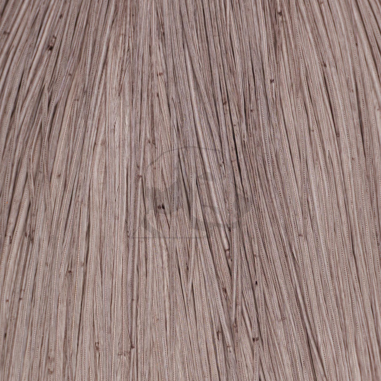 Whiting Farms Rooster Cape - Bronze Grade
