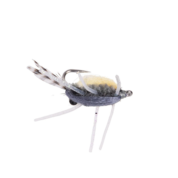 Mole Crab