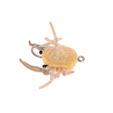 Money Crab