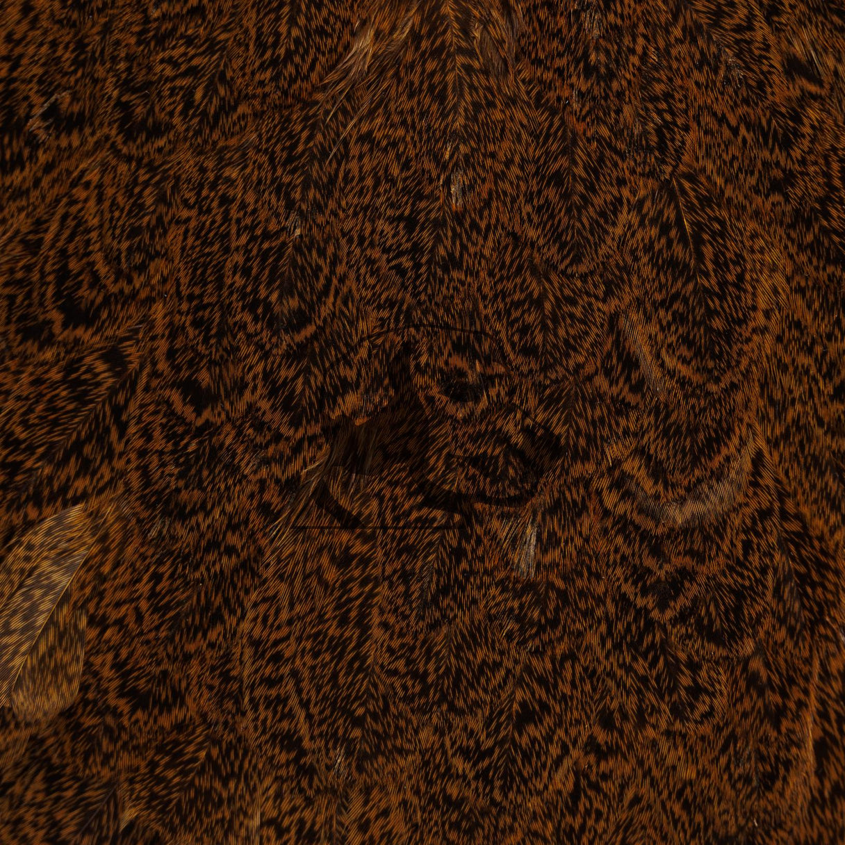 Whiting Brahma Hen Saddle