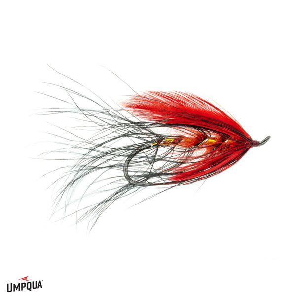 Hogan's Mahony - Size 3