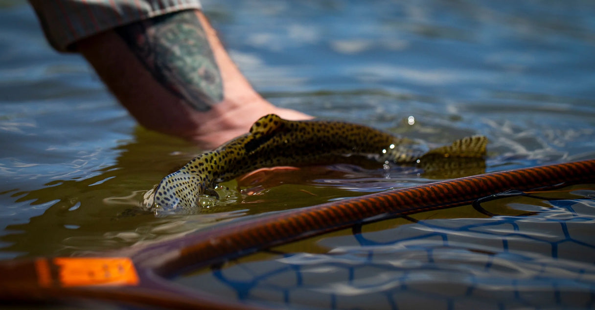 Fishpond Nomad El Jefe Grande Net - River Armor 2.0