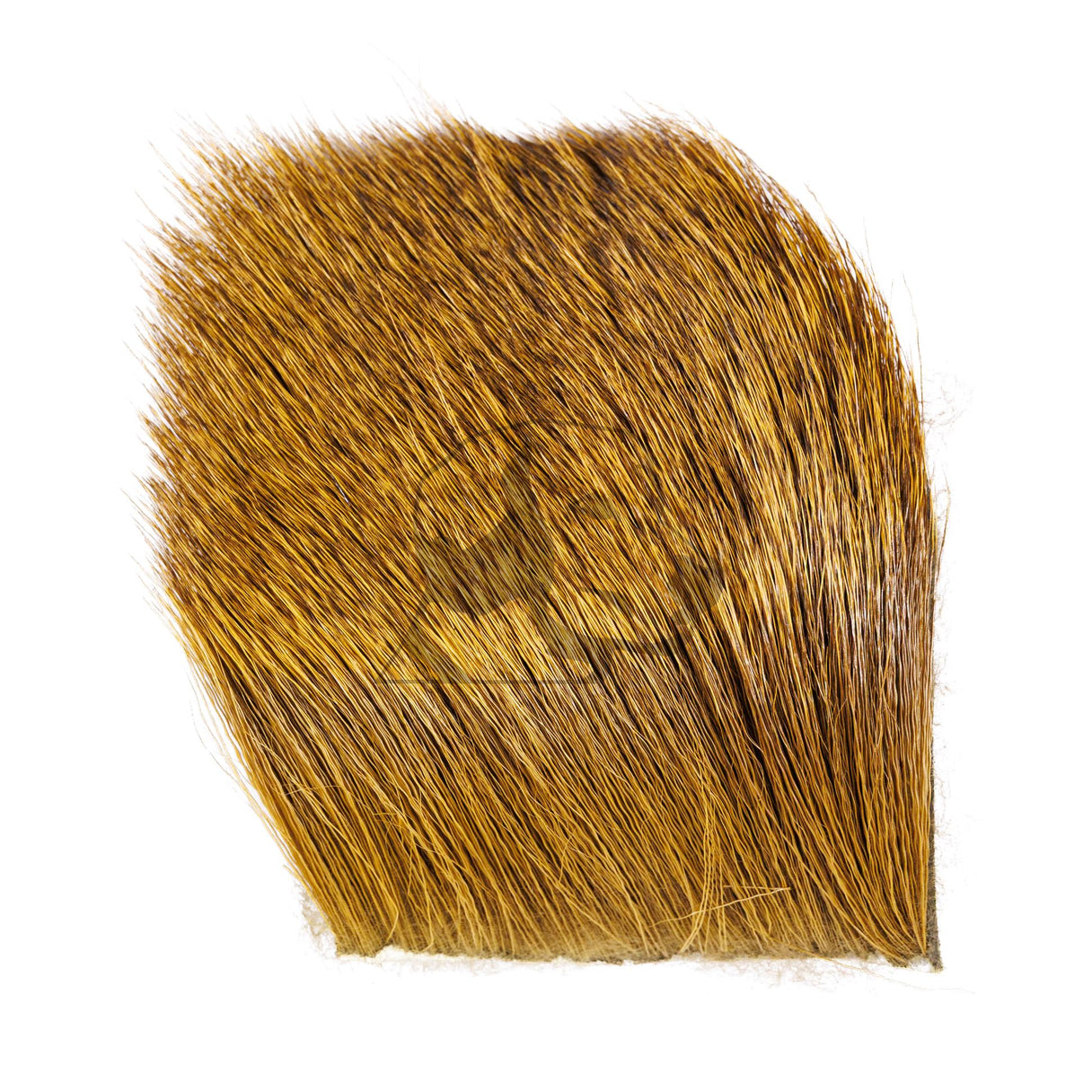 Elk Body Hair