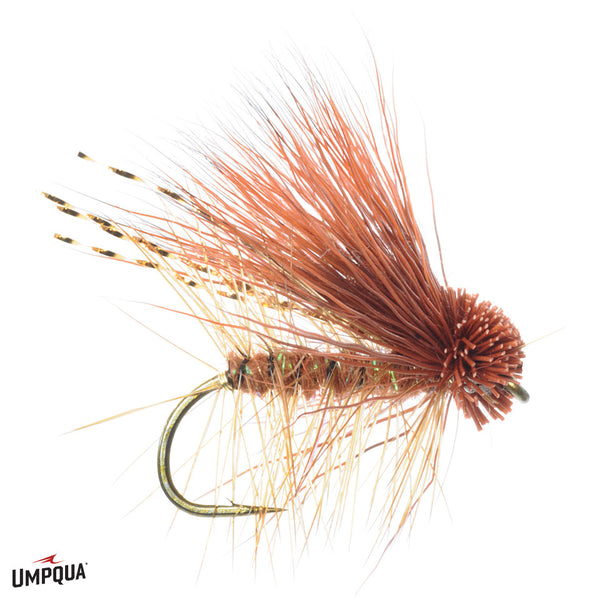 Umpqua October Caddis - Rusty - Size 10.