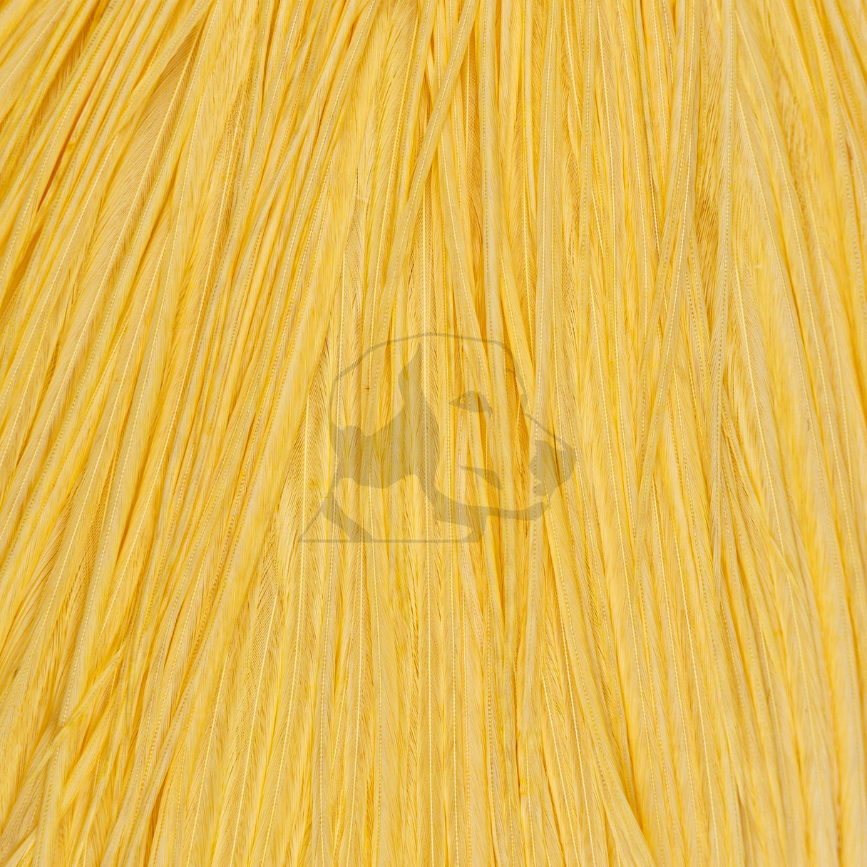 Whiting Farms Rooster Cape - Pro Grade