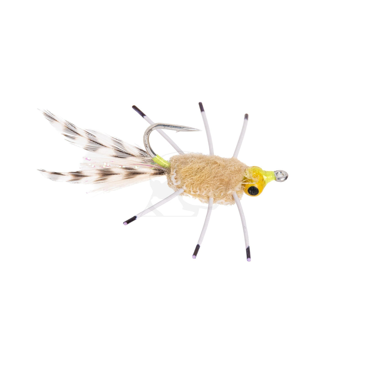 Pato's Crab - Yellow Eyes