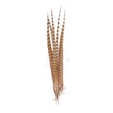 Wild Montana Pheasant Center Tails - 5 PK