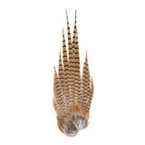 Wild Montana Pheasant Tail Clump