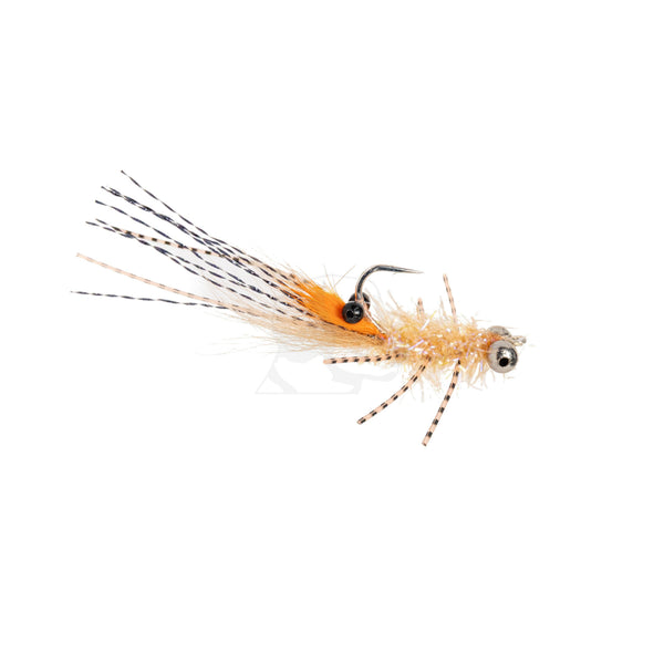 Pimp Shrimp (Bead Chain Eyes)