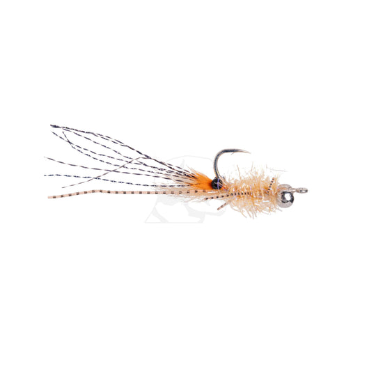 Pimp Shrimp (Brass Eyes)