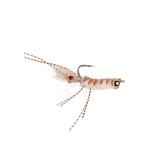 Popcorn Shrimp