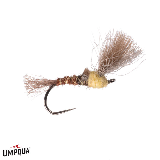Mathews PT Emerger - PMD