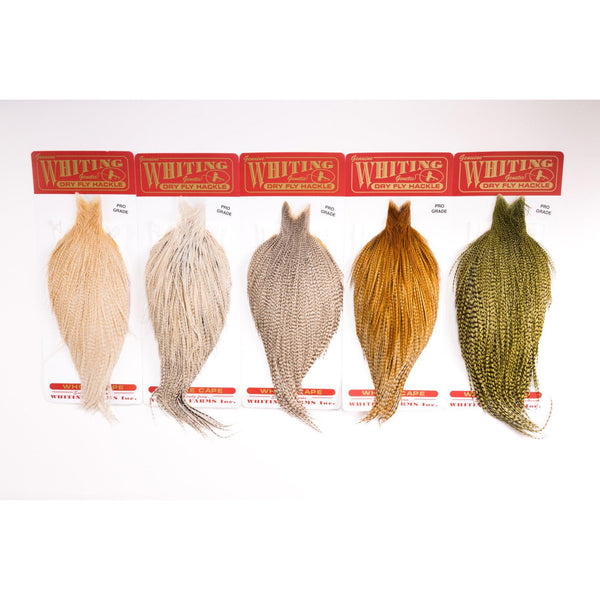 Whiting Farms Rooster Cape - Pro Grade