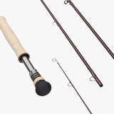 Sage IGNITER 6WT 9'1