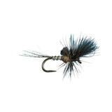 Last Chance Cripple - Callibaetis - Size 16
