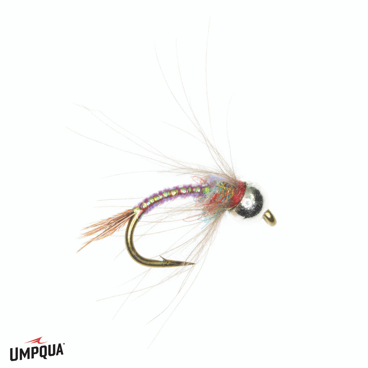 Rainbow Warrior CDC Tungsten