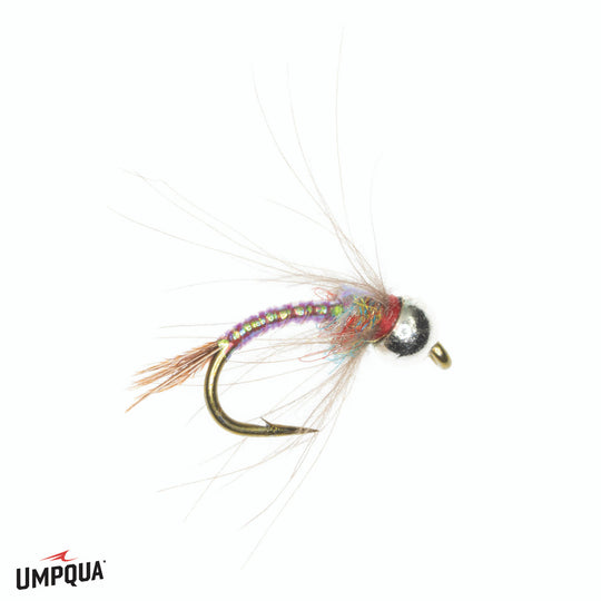 Rainbow Warrior CDC Tungsten