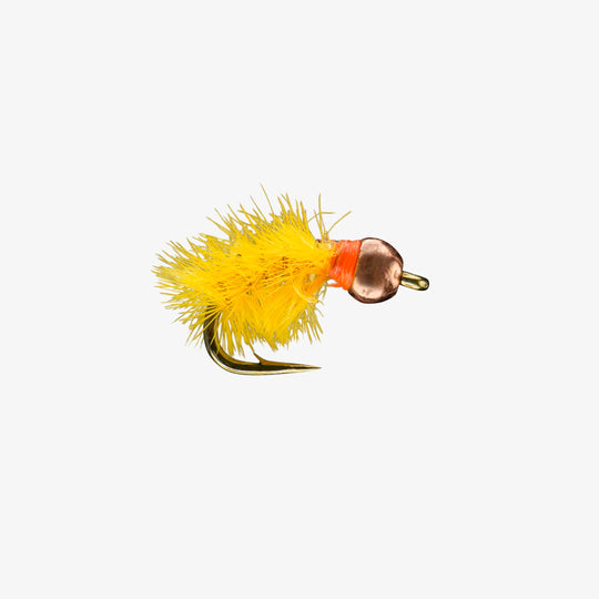 Tungsten Bead Ray Charles
