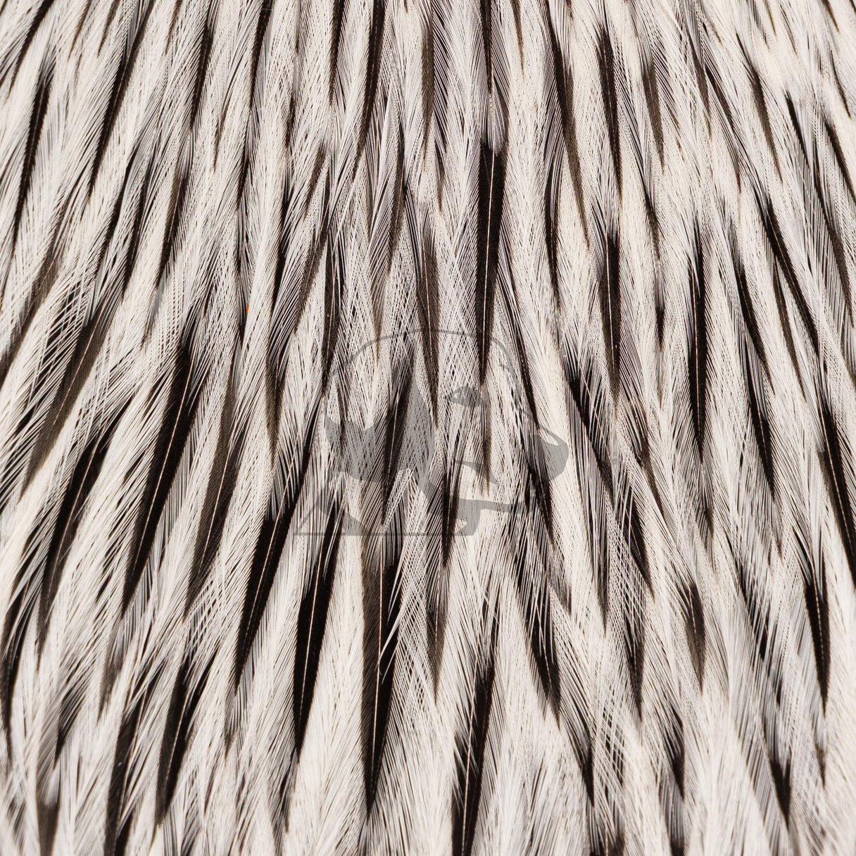 Whiting Farms Freshwater Streamer Cape