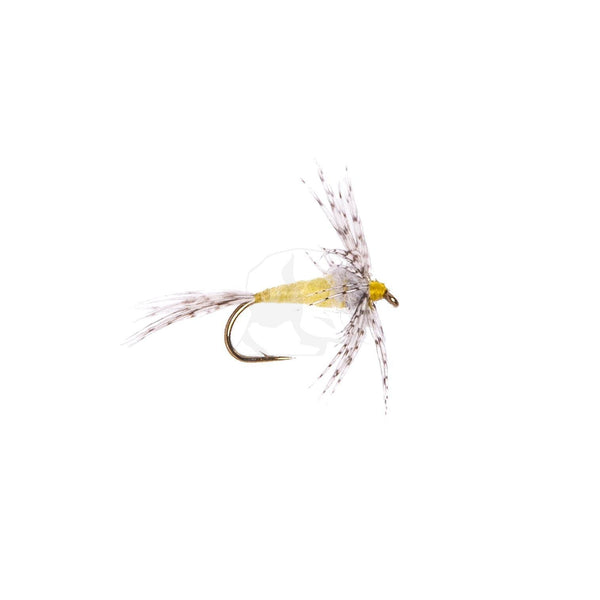 Solitude's Soft Hackle